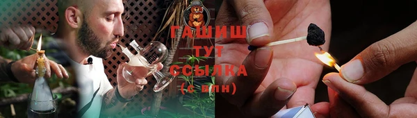 стаф Бородино